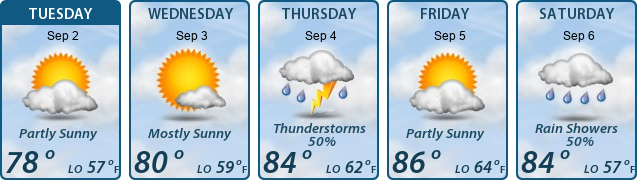 5-Day Forecast